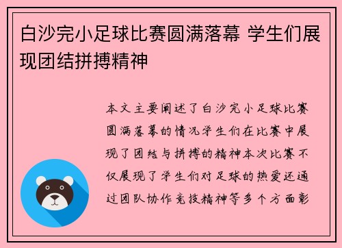 白沙完小足球比赛圆满落幕 学生们展现团结拼搏精神