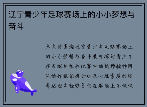 辽宁青少年足球赛场上的小小梦想与奋斗