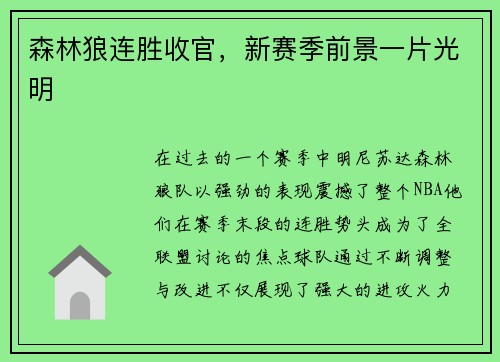 森林狼连胜收官，新赛季前景一片光明