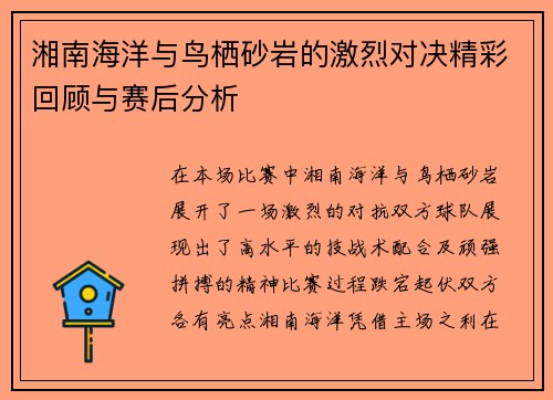 湘南海洋与鸟栖砂岩的激烈对决精彩回顾与赛后分析