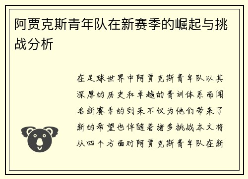 阿贾克斯青年队在新赛季的崛起与挑战分析