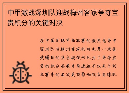 中甲激战深圳队迎战梅州客家争夺宝贵积分的关键对决