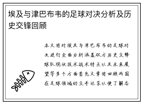 埃及与津巴布韦的足球对决分析及历史交锋回顾