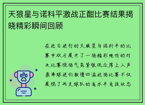 天狼星与诺科平激战正酣比赛结果揭晓精彩瞬间回顾