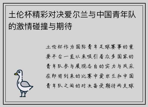 土伦杯精彩对决爱尔兰与中国青年队的激情碰撞与期待