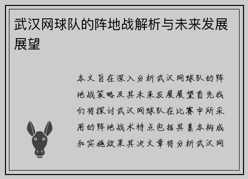 武汉网球队的阵地战解析与未来发展展望